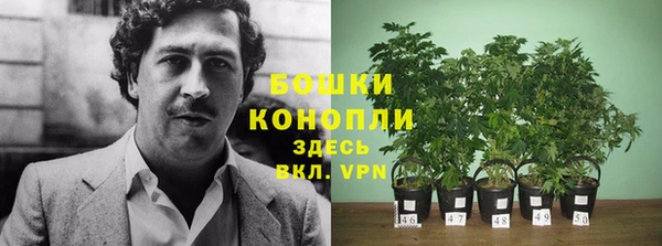 каннабис Магадан