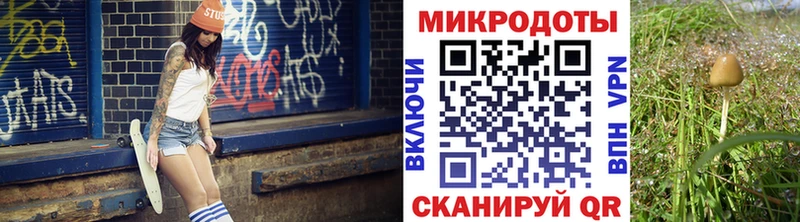 Псилоцибиновые грибы прущие грибы  МЕГА tor  Сольцы 